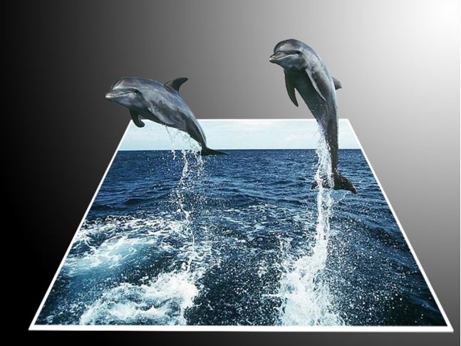 PHOTOSHOP montaje y retoque fotográfico